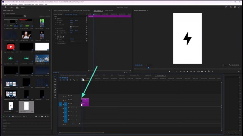 Premiere Pro-logo-animatie:tutorials en technieken voor video-editors