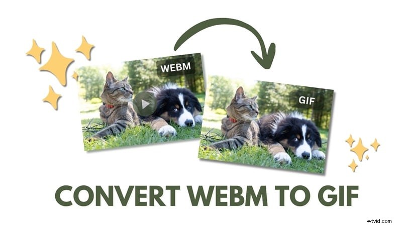 Converteer WebM naar GIF:Top 6 gratis en betrouwbare online tools 