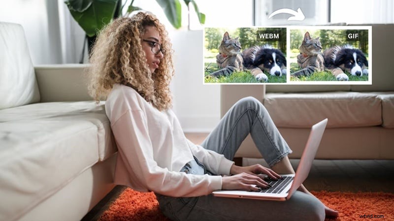 Converteer WebM naar GIF:Top 6 gratis en betrouwbare online tools 