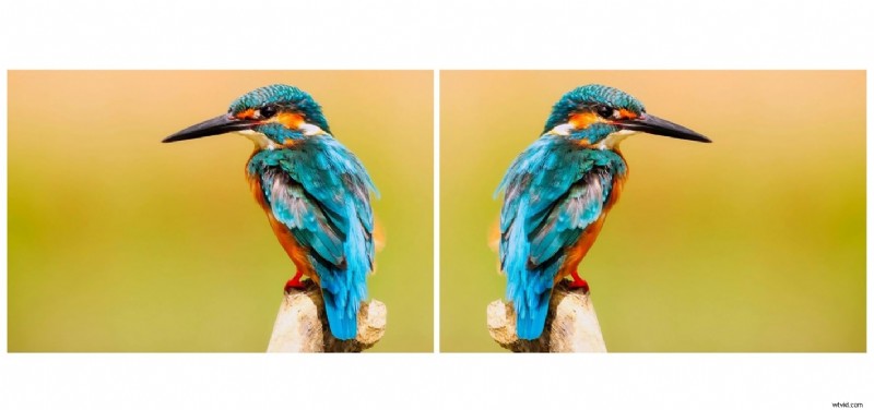 Gratis online videoflips:hulpmiddelen voor horizontale en verticale rotatie (2024) 