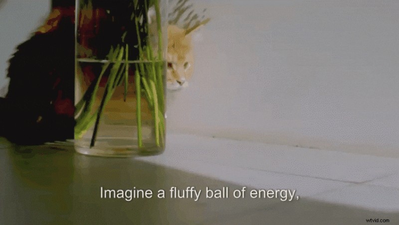 Beste AI-video-editors 2024:toptools voor snellere, professionele resultaten 