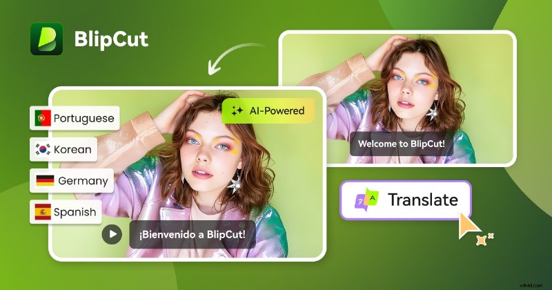 BlipCut AI Video Translator Review:functies, prestaties en alternatieven (2024) 