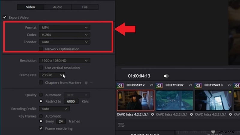 DaVinci Resolve Exportgids:professionele videoweergave en instellingen