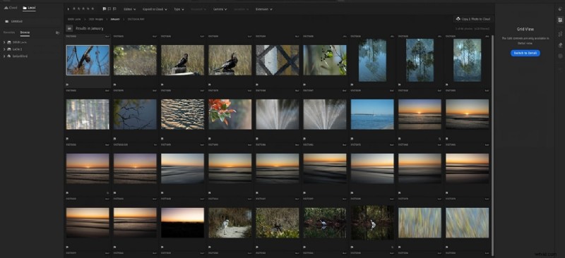 Adobe Lightroom Review:functies, voordelen en beste alternatieven voor fotografen 