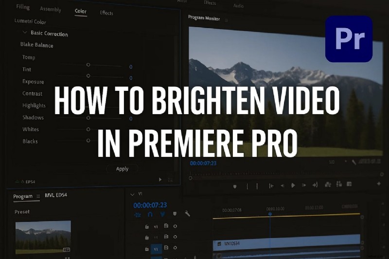 Maak donkere video s lichter in Premiere Pro:een uitgebreide handleiding [2024] 