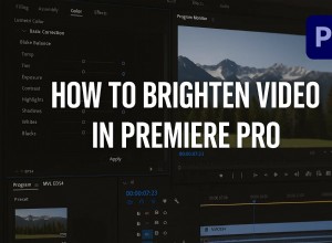 Schiarisci i video scuri in Premiere Pro:una guida completa [2024] 