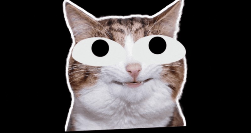 Beste grappige videomaker-apps 2024:maak virale inhoud! 