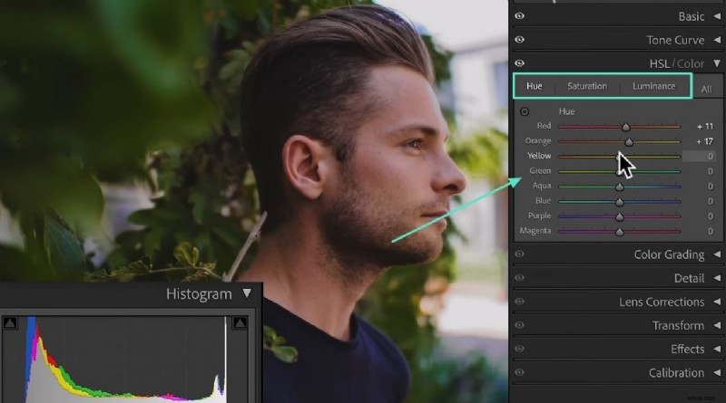 Kleurcorrectie beheersen in Lightroom:technieken, hulpmiddelen en workflow voor filmische fotografie 