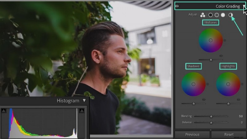 Kleurcorrectie beheersen in Lightroom:technieken, hulpmiddelen en workflow voor filmische fotografie 