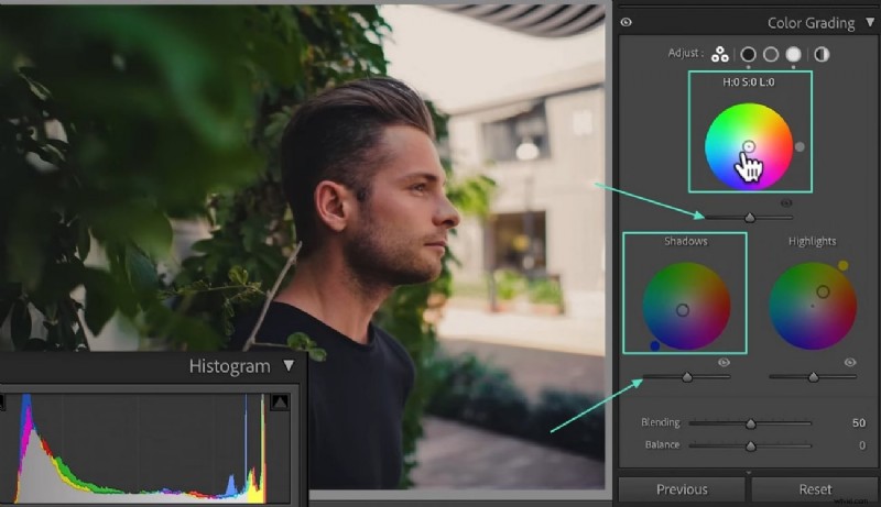 Kleurcorrectie beheersen in Lightroom:technieken, hulpmiddelen en workflow voor filmische fotografie 