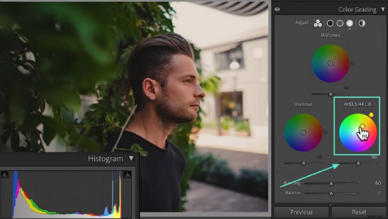 Kleurcorrectie beheersen in Lightroom:technieken, hulpmiddelen en workflow voor filmische fotografie 