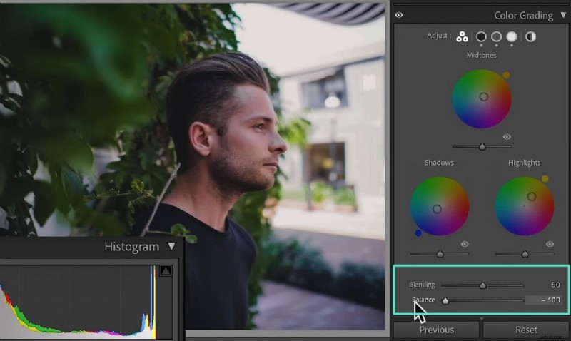 Kleurcorrectie beheersen in Lightroom:technieken, hulpmiddelen en workflow voor filmische fotografie 