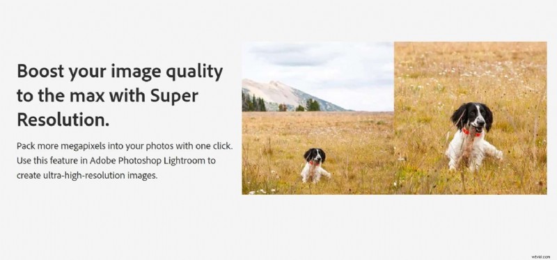Beste Remini-alternatieven:verbeter foto s en video s op iPhone en Android 