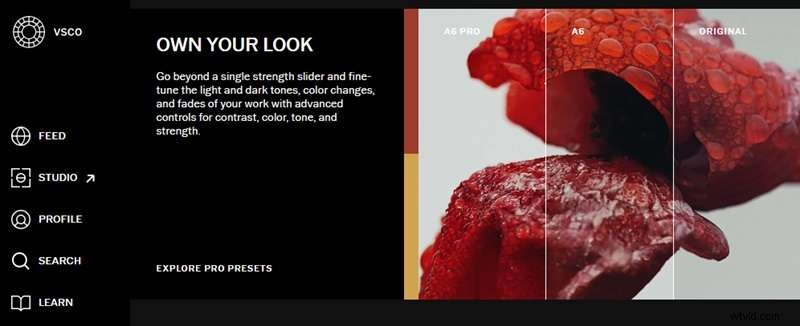 VSCO:een uitgebreide gids voor filters, tools en alternatieven 