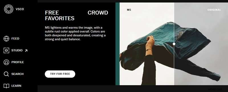 VSCO:een uitgebreide gids voor filters, tools en alternatieven 