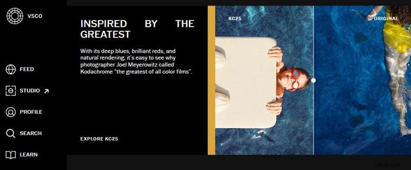 VSCO:een uitgebreide gids voor filters, tools en alternatieven 
