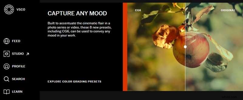 VSCO:een uitgebreide gids voor filters, tools en alternatieven 