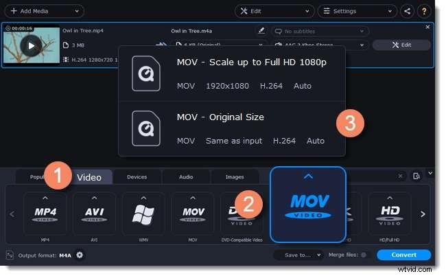 Movavi Video Editor Review – Functies, prijzen en alternatieven 