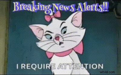 Beste Discord GIF-makers:creëer en deel boeiende reacties 