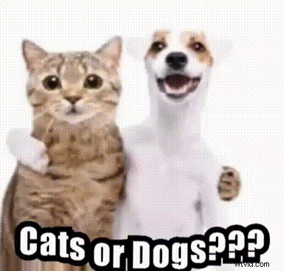 Beste Discord GIF-makers:creëer en deel boeiende reacties 