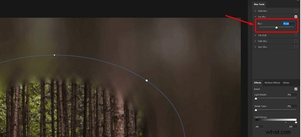 Vervagingseffecten beheersen in Photoshop:gezichten, achtergronden en meer 