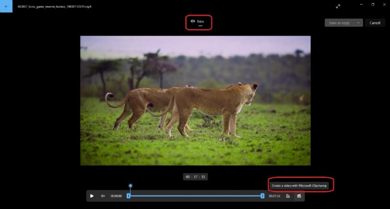 Windows 11 Video-editors:native tools en beste alternatieven 