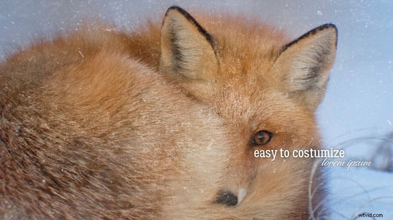 Gratis After Effects-diavoorstellingsjablonen (2024) - Maak verbluffende beelden 