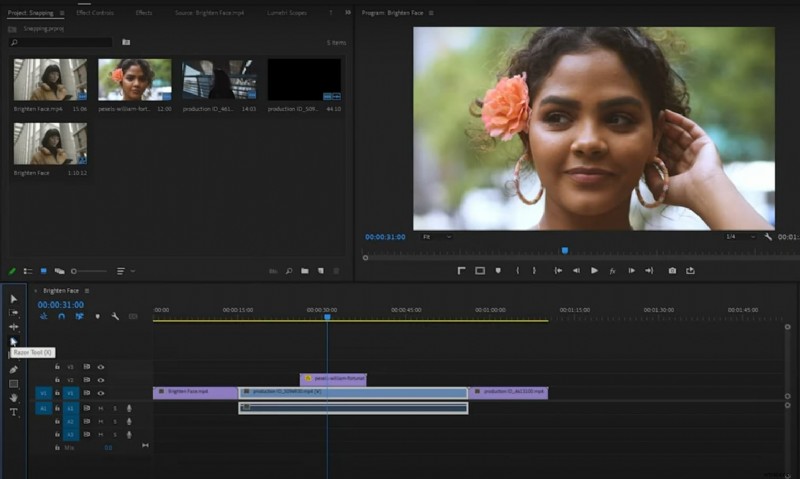 Premiere Pro Snapping:handleiding voor inschakelen en probleemoplossing (2024) 