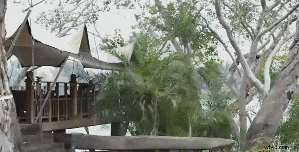 NewBlueFX Review:verbeter uw videobewerking met krachtige plug-ins 