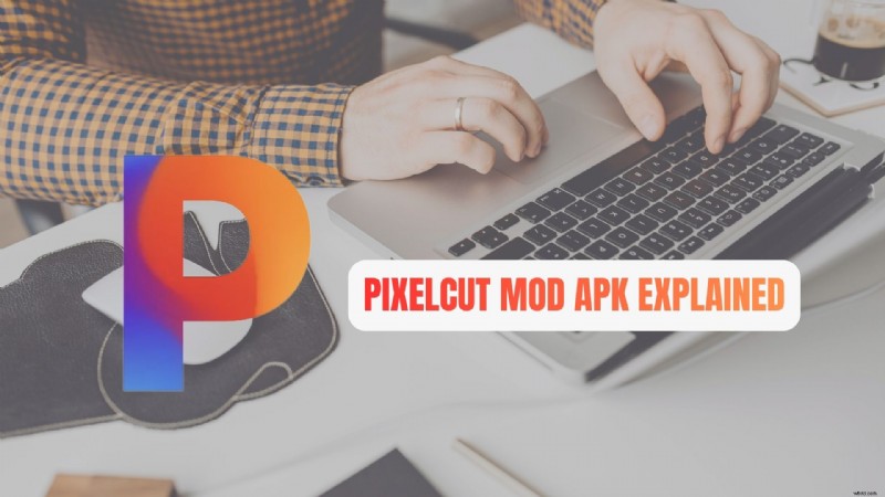 Pixelcut AI Foto-editor:functies, Pro versus gratis en Mod APK-risico s 