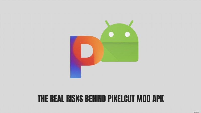 Pixelcut AI Foto-editor:functies, Pro versus gratis en Mod APK-risico s 