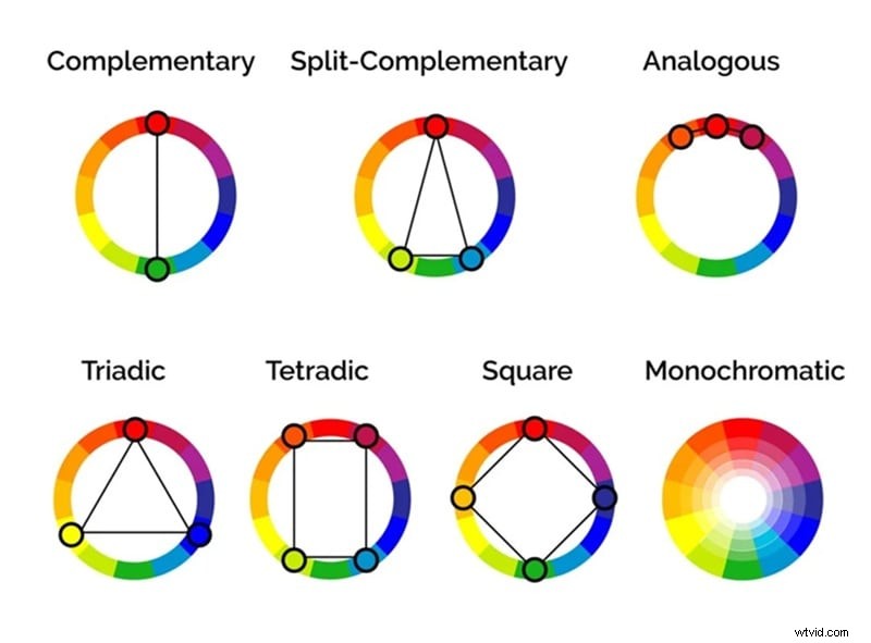 Beheers kleurenpaletten met Adobe Color:een uitgebreide handleiding 