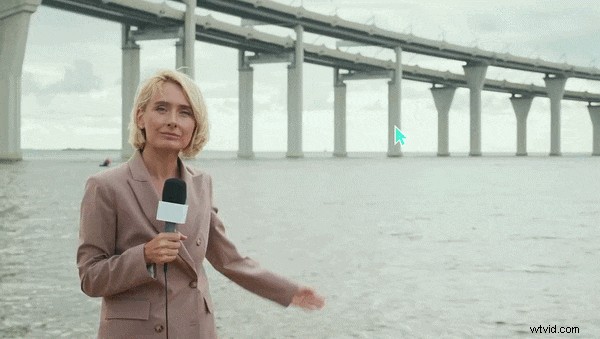 FlipaClip Review 2024:is het nog steeds de beste mobiele animatie-app? 