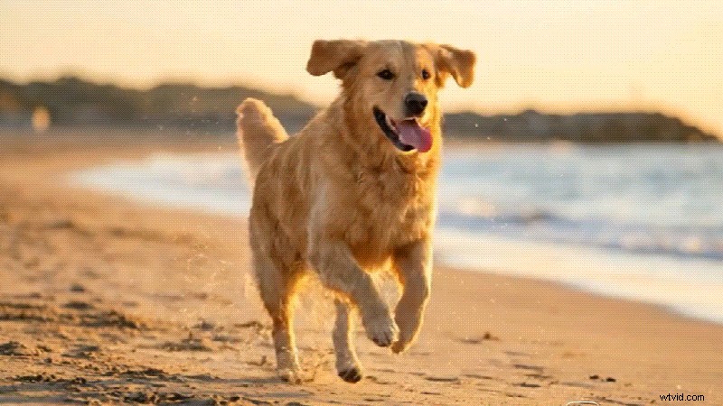 Grok versus ChatGPT-5:AI voor makers in 2026 - Filmora Workflow 