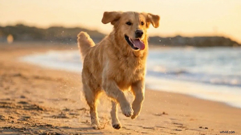 Grok versus ChatGPT-5:AI voor makers in 2026 - Filmora Workflow 