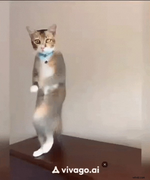 Vivago AI Review:is het de toonaangevende AI-videogenerator voor makers? 