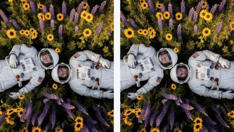 Flow AI Video Generator Review (2026):mogelijk gemaakt door Veo 3.1 