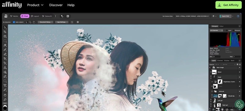 Top GIMP-alternatieven voor 2026:gratis en betaalde foto-editors 