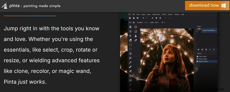Top GIMP-alternatieven voor 2026:gratis en betaalde foto-editors 