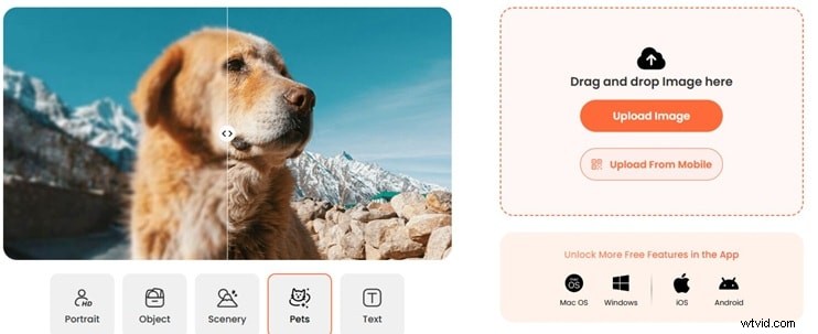 AirBrush Review 2026:AI Photo Editor – is het de hype waard? 