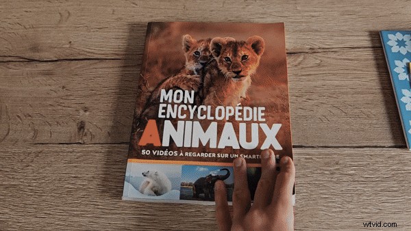 Pika AI Review:moeiteloze videocreatie met AI (2024) 