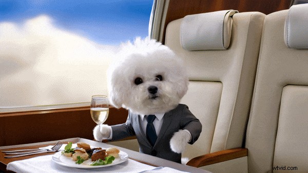 Pika AI Review:moeiteloze videocreatie met AI (2024) 