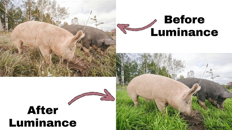 Lightroom HSL Panel:een uitgebreide gids voor kleurcorrectie (2024) 