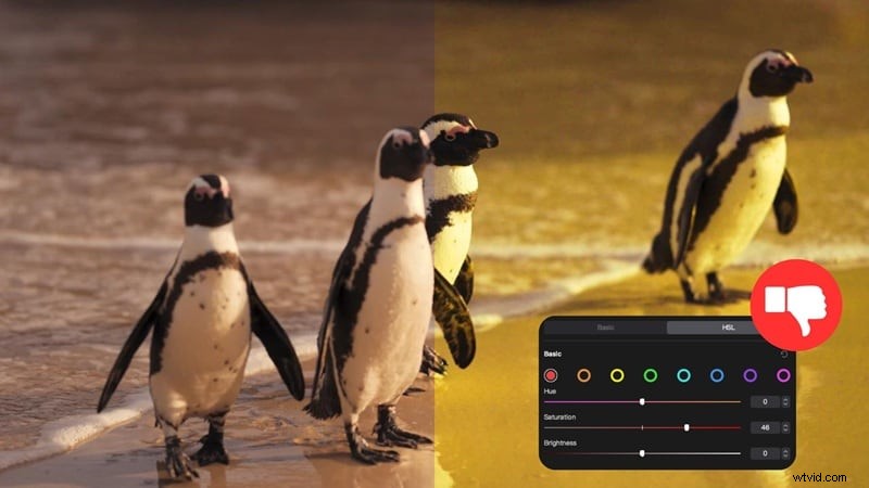Master HSL-kleurcorrectie in CapCut:een uitgebreide gids (2026) 
