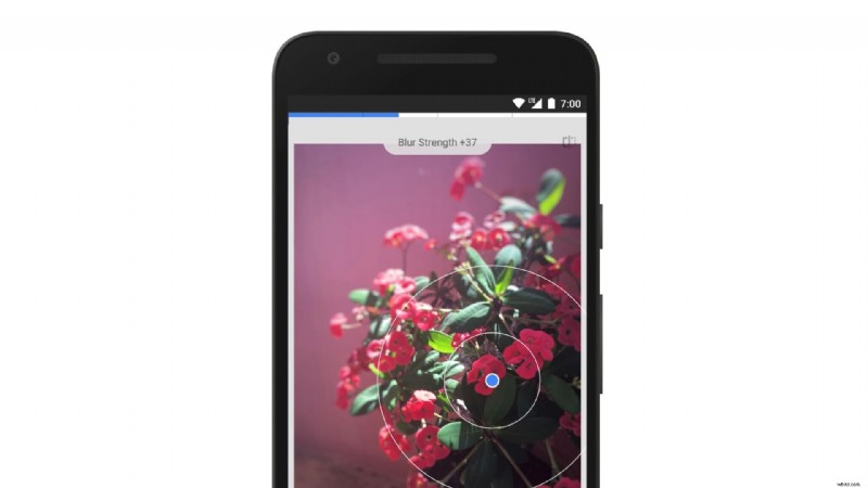 Top 10 hulpmiddelen voor het vervagen van foto-achtergronden voor verbluffende portretten (2024) 