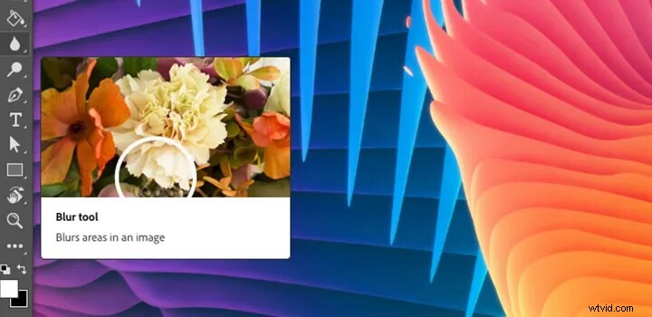 Top 10 hulpmiddelen voor het vervagen van foto-achtergronden voor verbluffende portretten (2024) 