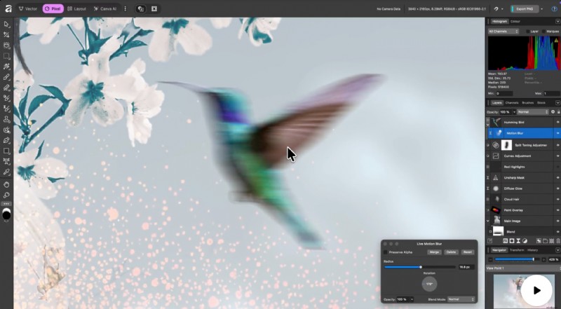 Top 10 hulpmiddelen voor het vervagen van foto-achtergronden voor verbluffende portretten (2024) 