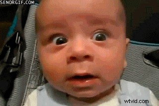 Beste video-naar-GIF-converters:hoogwaardige opties voor 2024 