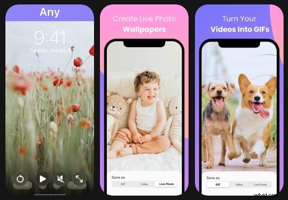 Beste video-naar-GIF-converters:hoogwaardige opties voor 2024 