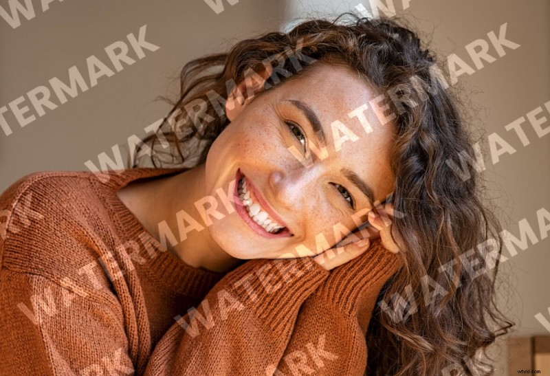 Top 12 videowatermerkhulpmiddelen:bescherm uw inhoud online 